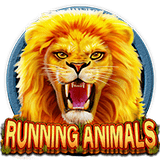 RTP CQ9  turbobet168